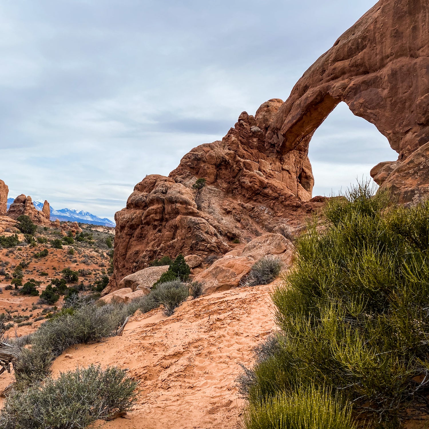 Windows Loop Trail