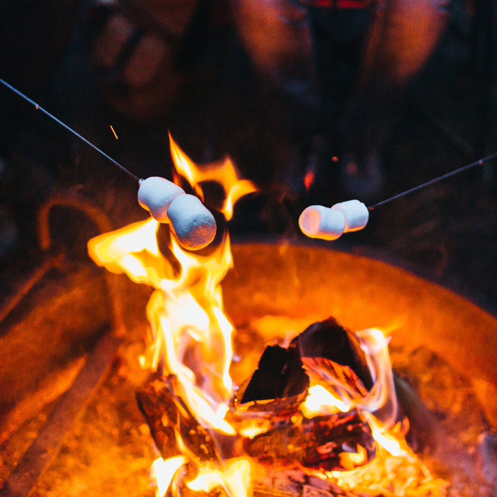 The following recommendations pull double duty, working at home and during weekend car-camping trips with your clan.