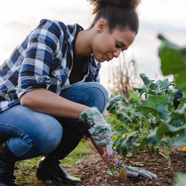 Old clothes are a great gardening go-to—you really can't go wrong—but if you're looking for something new, these are my current favorites for keeping cool and protected.