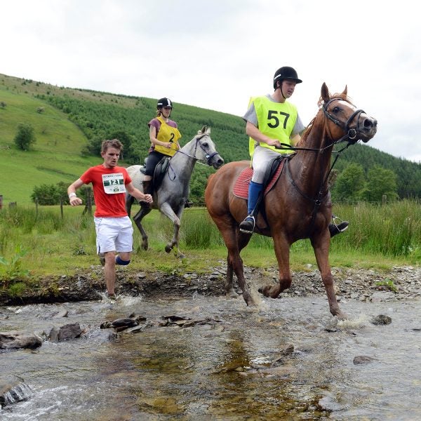 Man v Horse Marathon