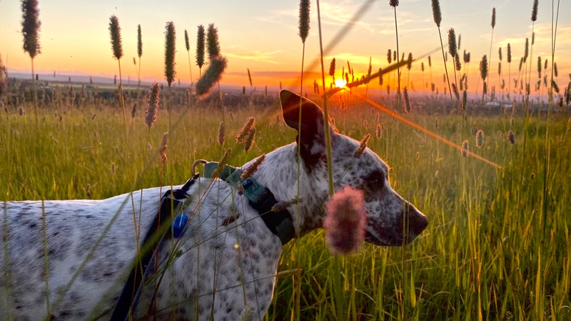 Kit enjoys a romantic sunset with her dad.