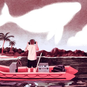 Though scientists think that singing plays a role in breeding displays, a lot remains unknown about humpback songs.