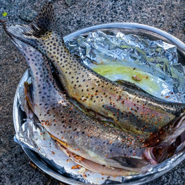 Freshly caught trout tastes way better than a bag of freeze-dried slop.