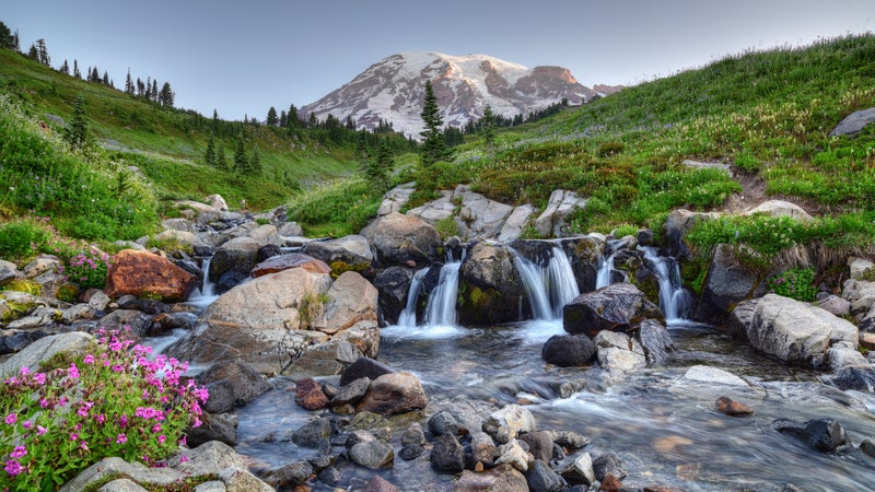 Mount Rainier Summer