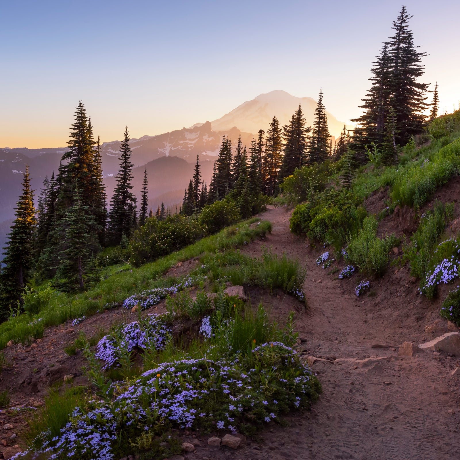 Angeles Crest Hiking Trails The Best Day Hikes On The Pacific Crest Trail Outside Online
