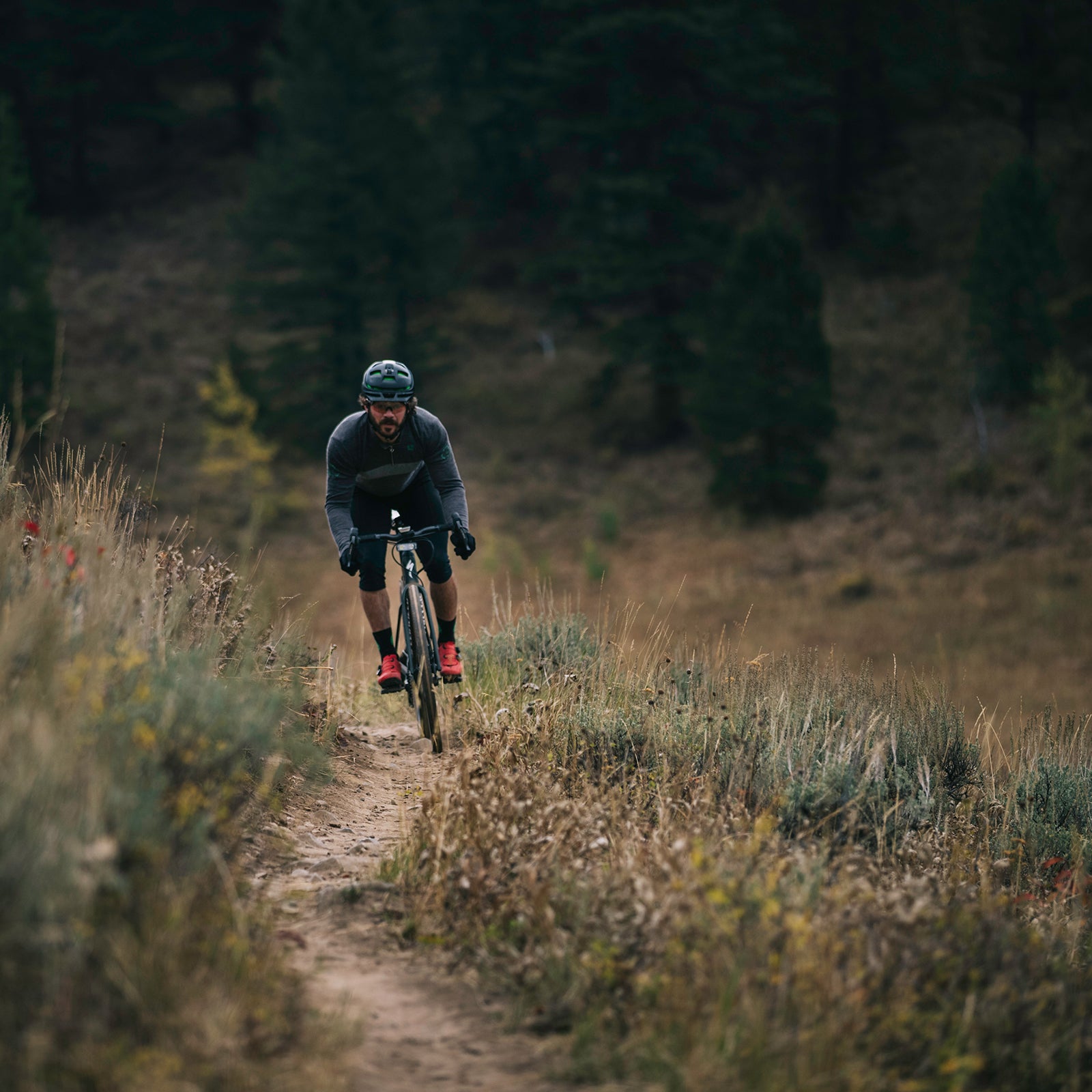 The slacker geometry, improved Future Shock, and ample dropouts make it a gravel grinder for all types of riders.