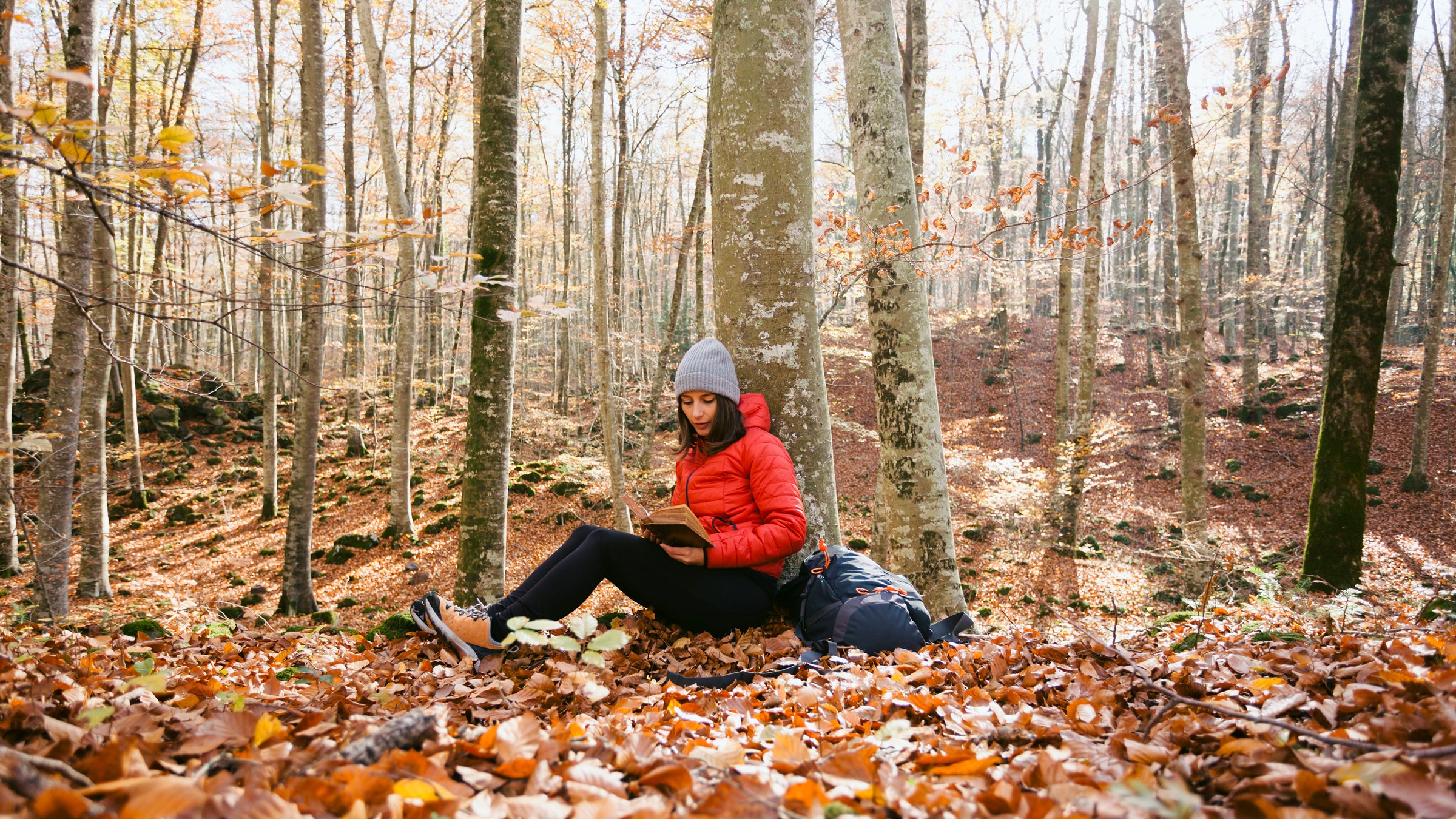 Last month, <i>Outside</i> editors tried to stay sane amid a stressful news cycle by replacing a Twitter habit with some poetry, listening to a podcast about couples therapy, and reading a book that encourages getting in touch with all five senses.