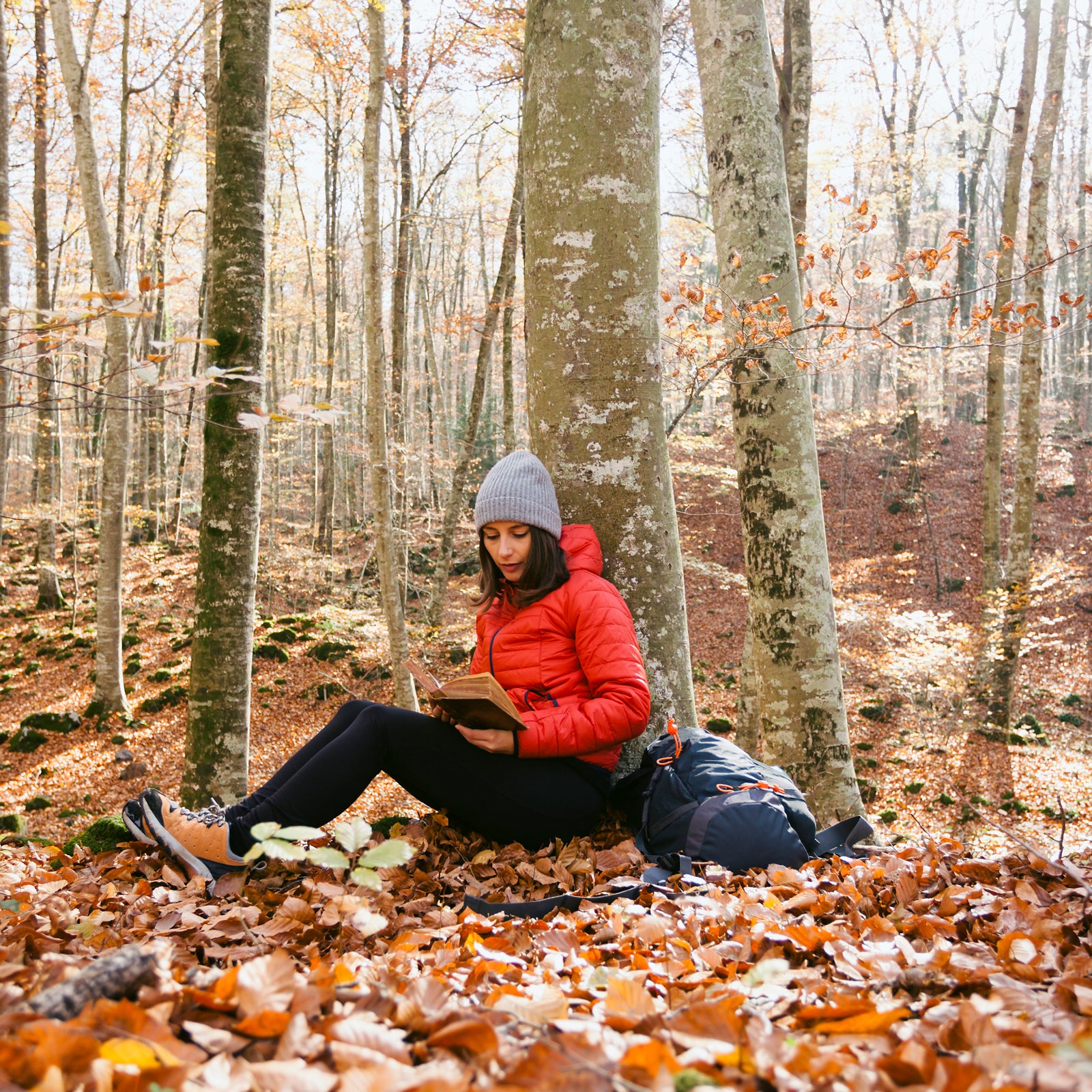Last month, Outside editors tried to stay sane amid a stressful news cycle by replacing a Twitter habit with some poetry, listening to a podcast about couples therapy, and reading a book that encourages getting in touch with all five senses.