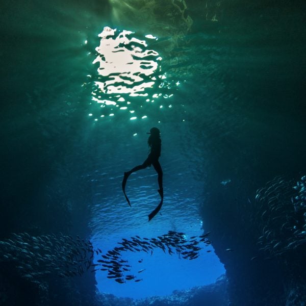 As the feats of elite freedivers show—like holding a single breath for 11 minutes and 35 seconds—our limits aren’t what they seem.