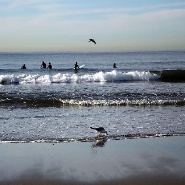 New York life can be provincial; the Rockaways might well have been another country.