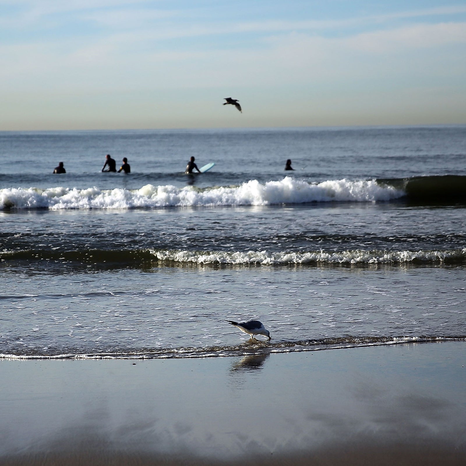 New York life can be provincial; the Rockaways might well have been another country.