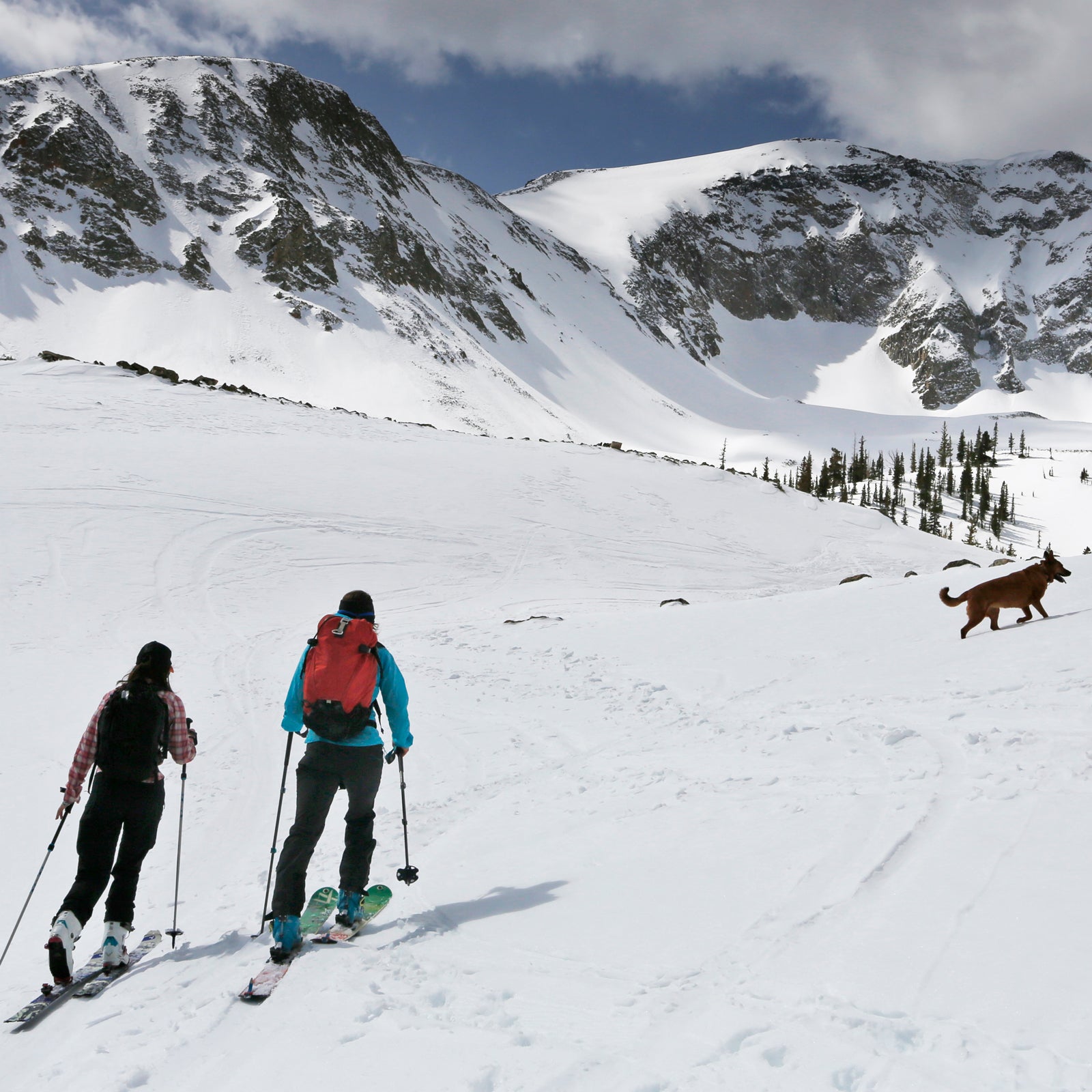 Even for a category like backcountry, which has witnessed steady and strong growth for more than a decade, those are staggering numbers.