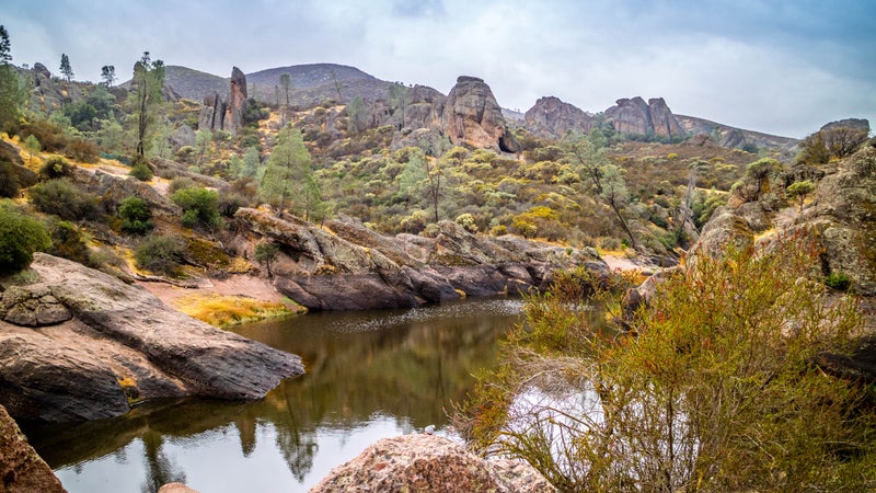 The Bear Gulch Reservoir in Pinnacles National Park