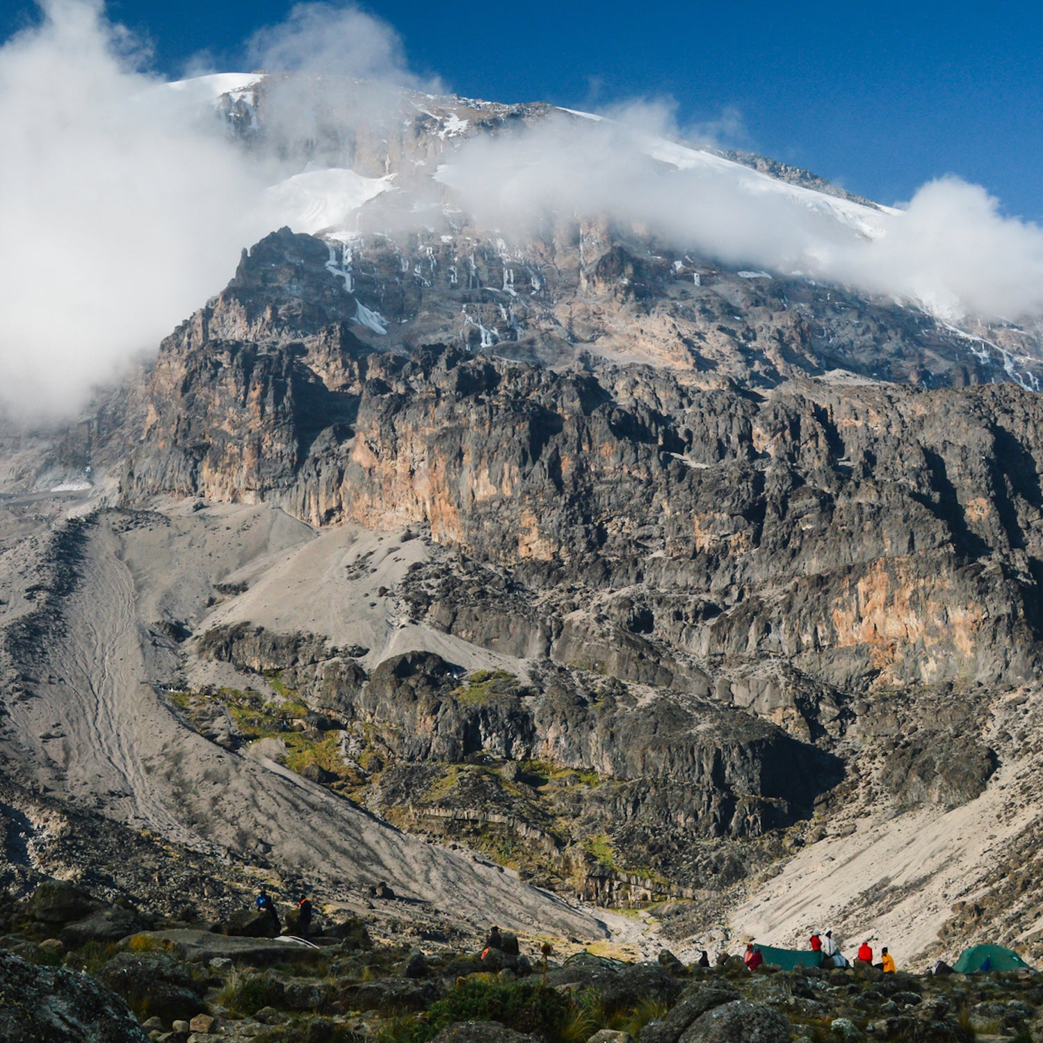 Kilimanjaro’s five diverse vegetation zones encompass everything from forests and farmland to desert and glaciers.