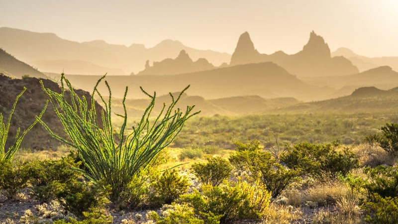 Mule Ears baking in the sun
