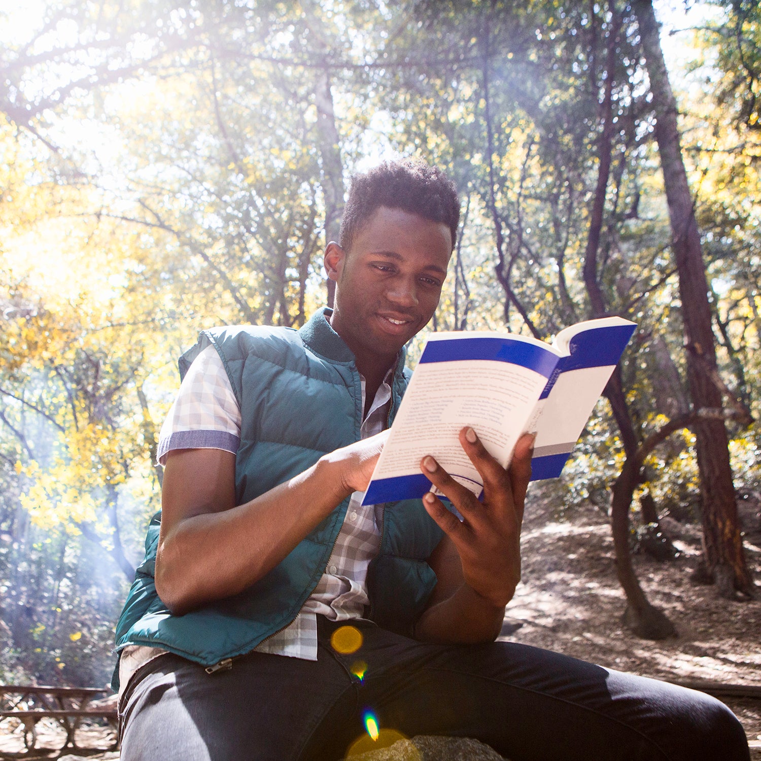 Young male hiker reading guidebook in forest, Arcadia, California, USA