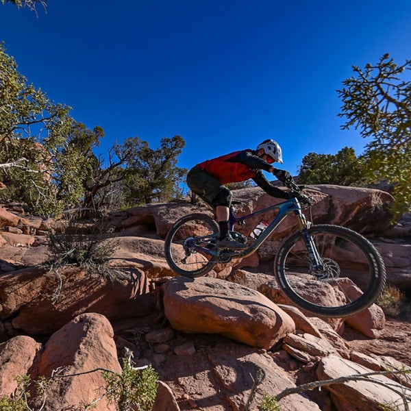 Giant S Trance X 29 Hits The Sweet Spot Outside Online
