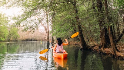 Big Thicket National Preserve