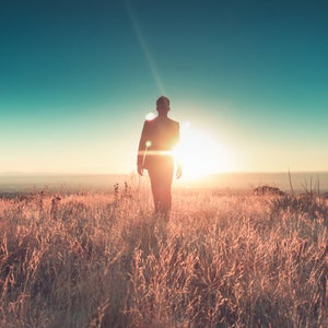 man sun business suit nature landscape