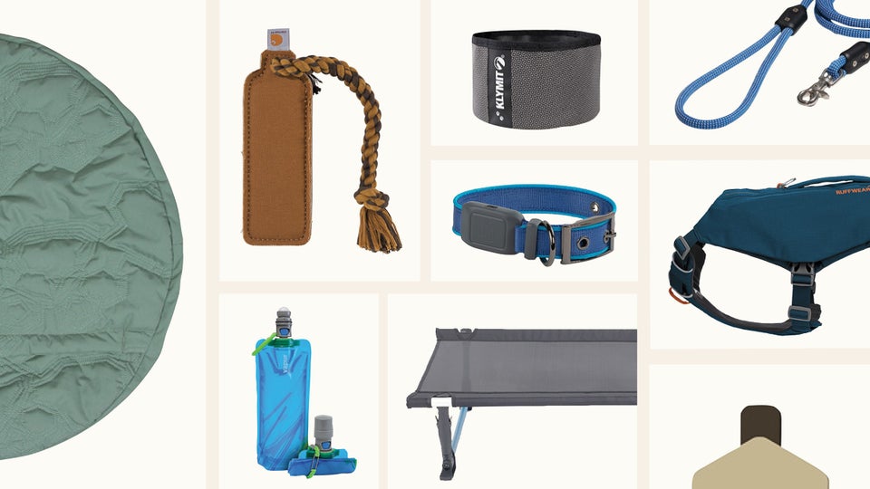 The Best Dog Gear of 2021 Outside Online