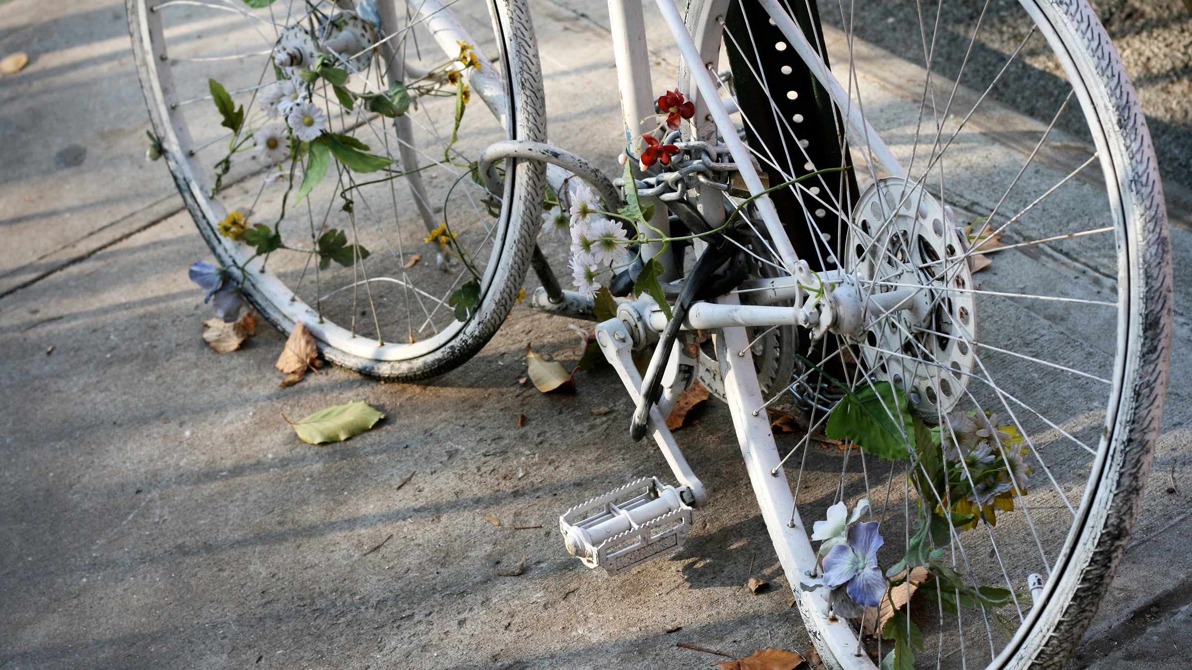 Ghost Bike II