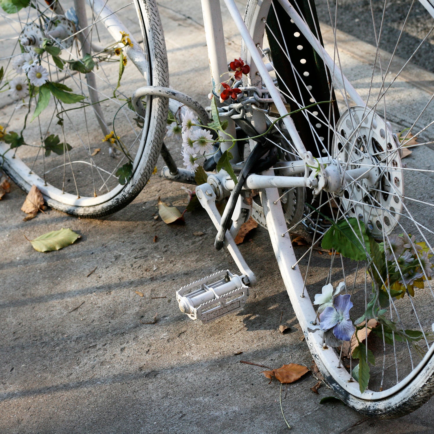 Ghost Bike II