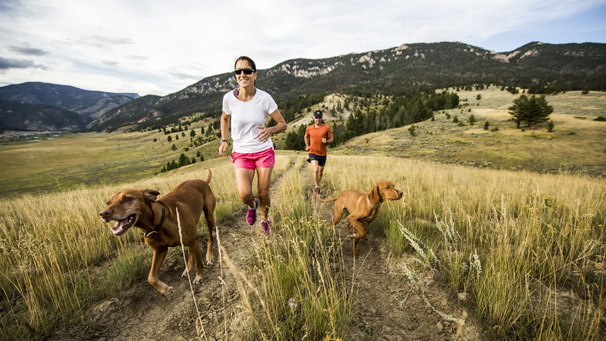 How to Help Keep Your Dog Cool This Summer