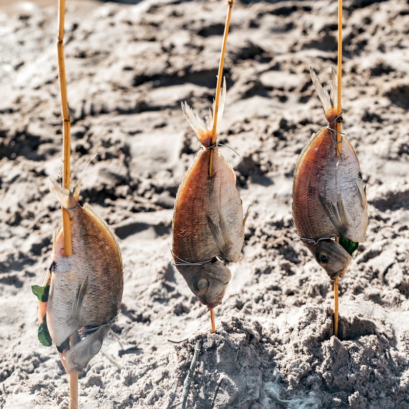Bamboo fish on a stick