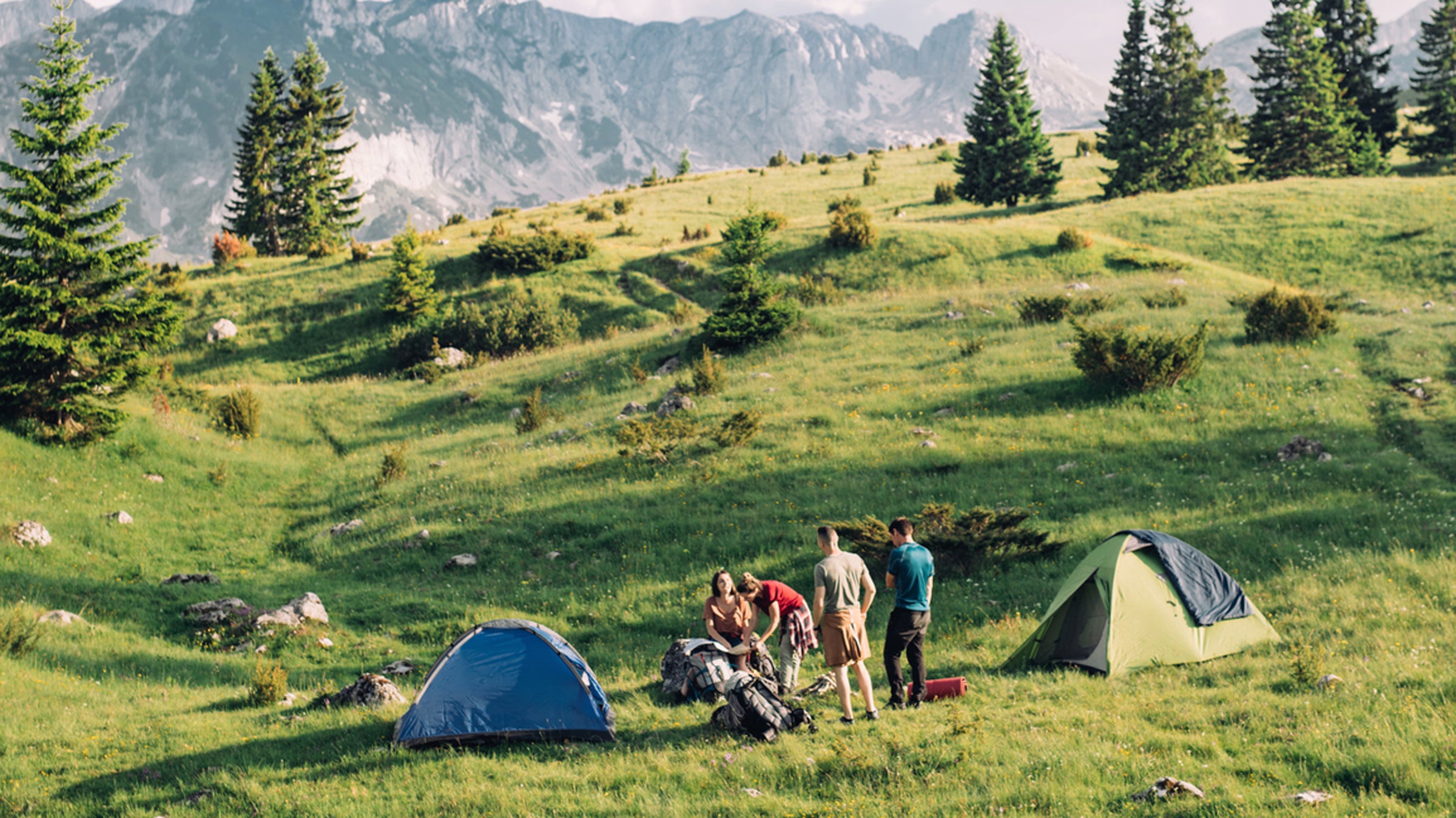 Friends Camping In Mountains