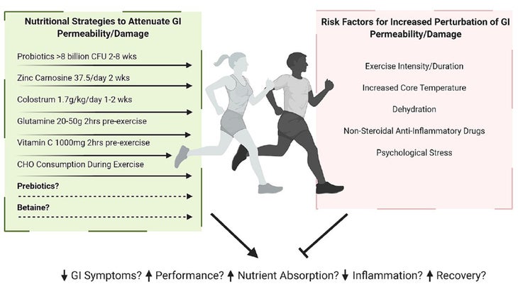 Nutritional strategies chart