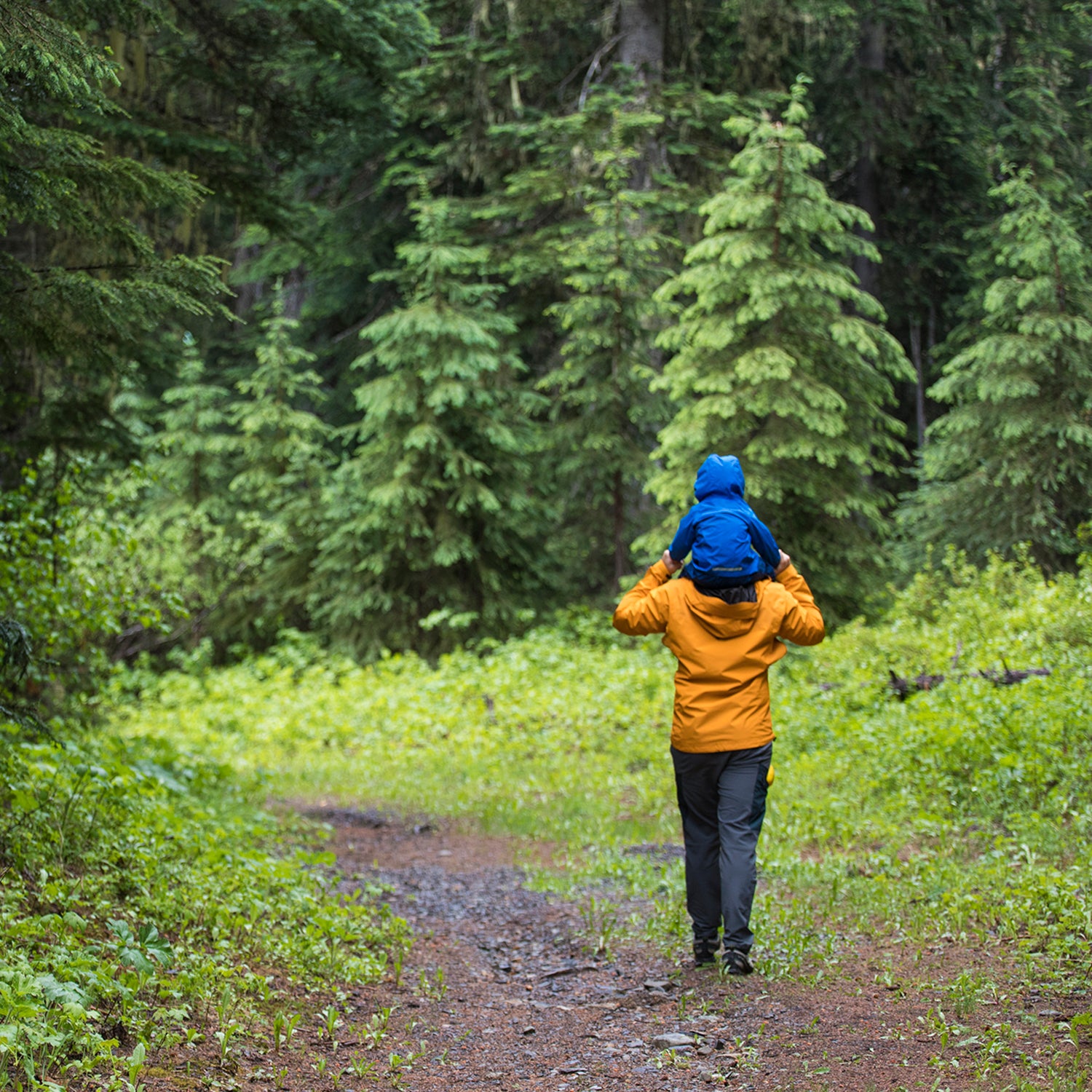 hiking rain gear