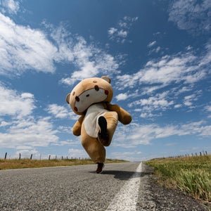 Bearsun moving down the line on New Mexico State Road 58