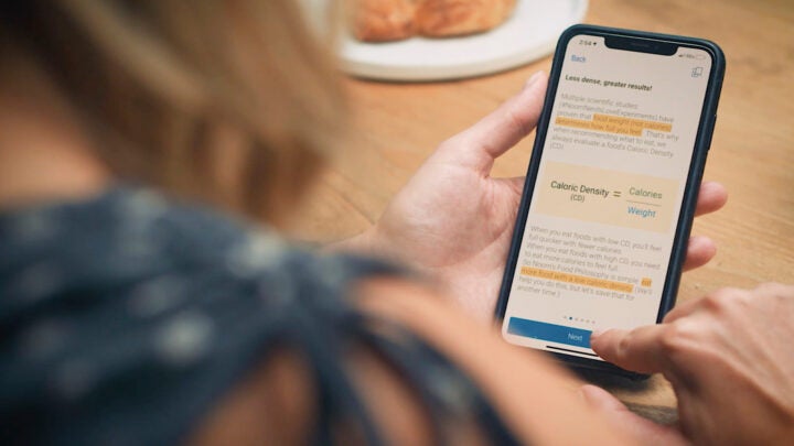 An environmental analysis of meadows and byrne marketing essay 08 image