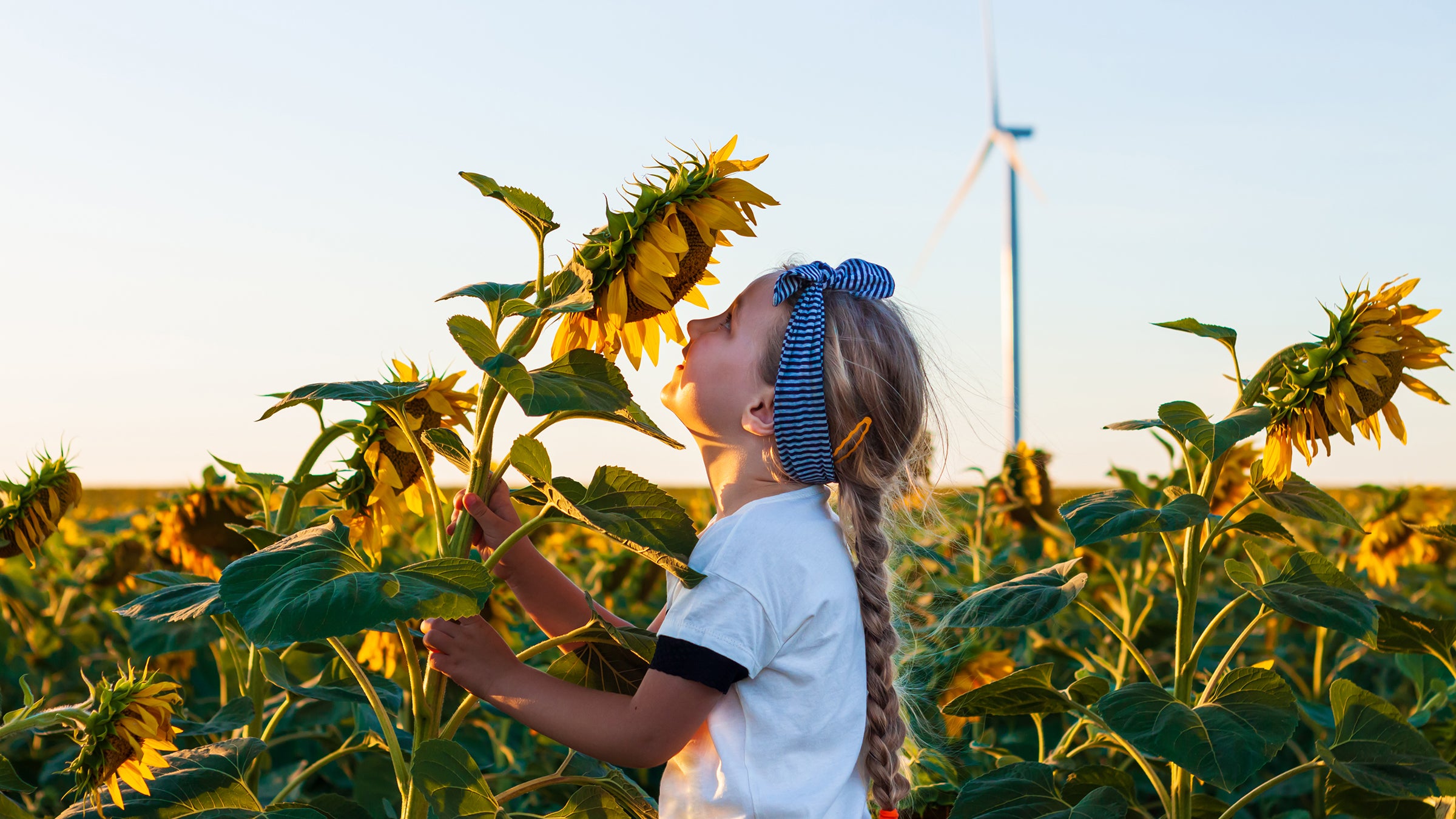 What the Happiest Countries in the World Can Teach Us About Green Living