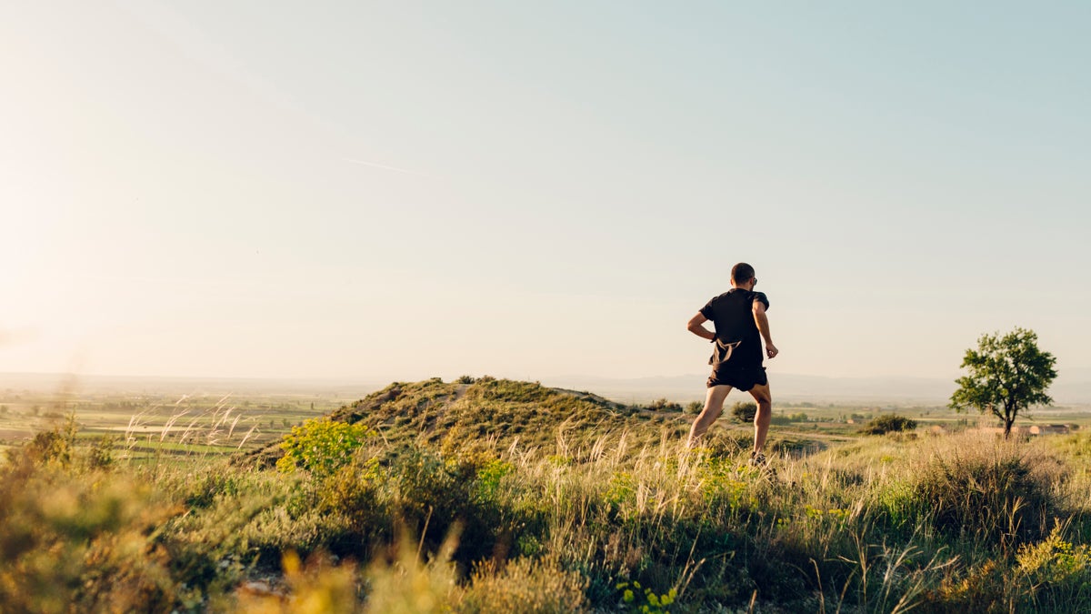 Why Sprinters Peak in the Evening and Marathoners Don’t