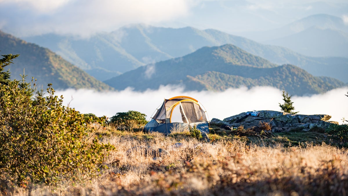 Submissive essay 05 image