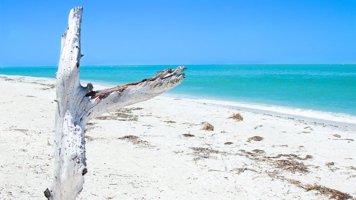 Cayo Coast State Park