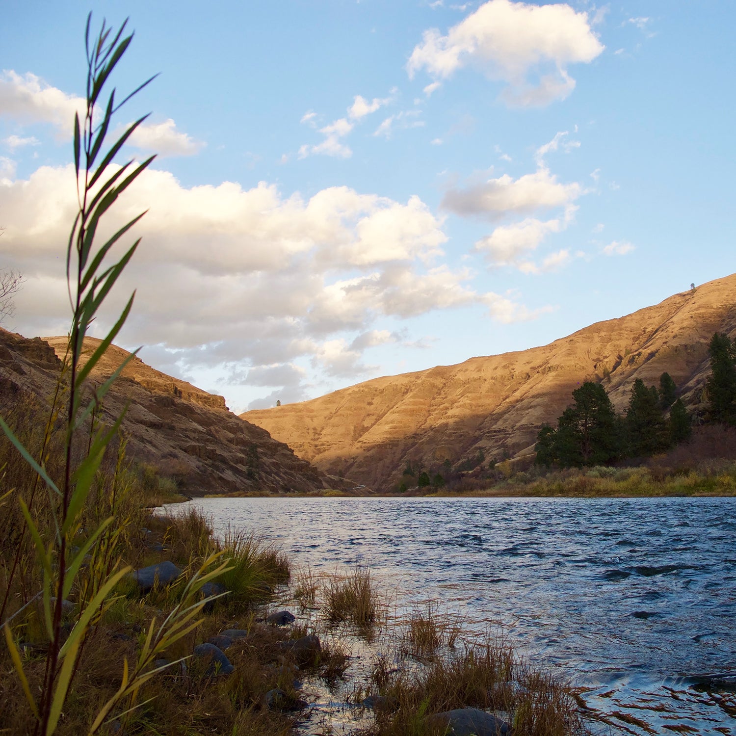 Grand Ronde river