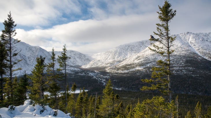 Mount Albert seen from point of view with foreground on a cold winter day, Gaspesie national park, Quebec, Canada