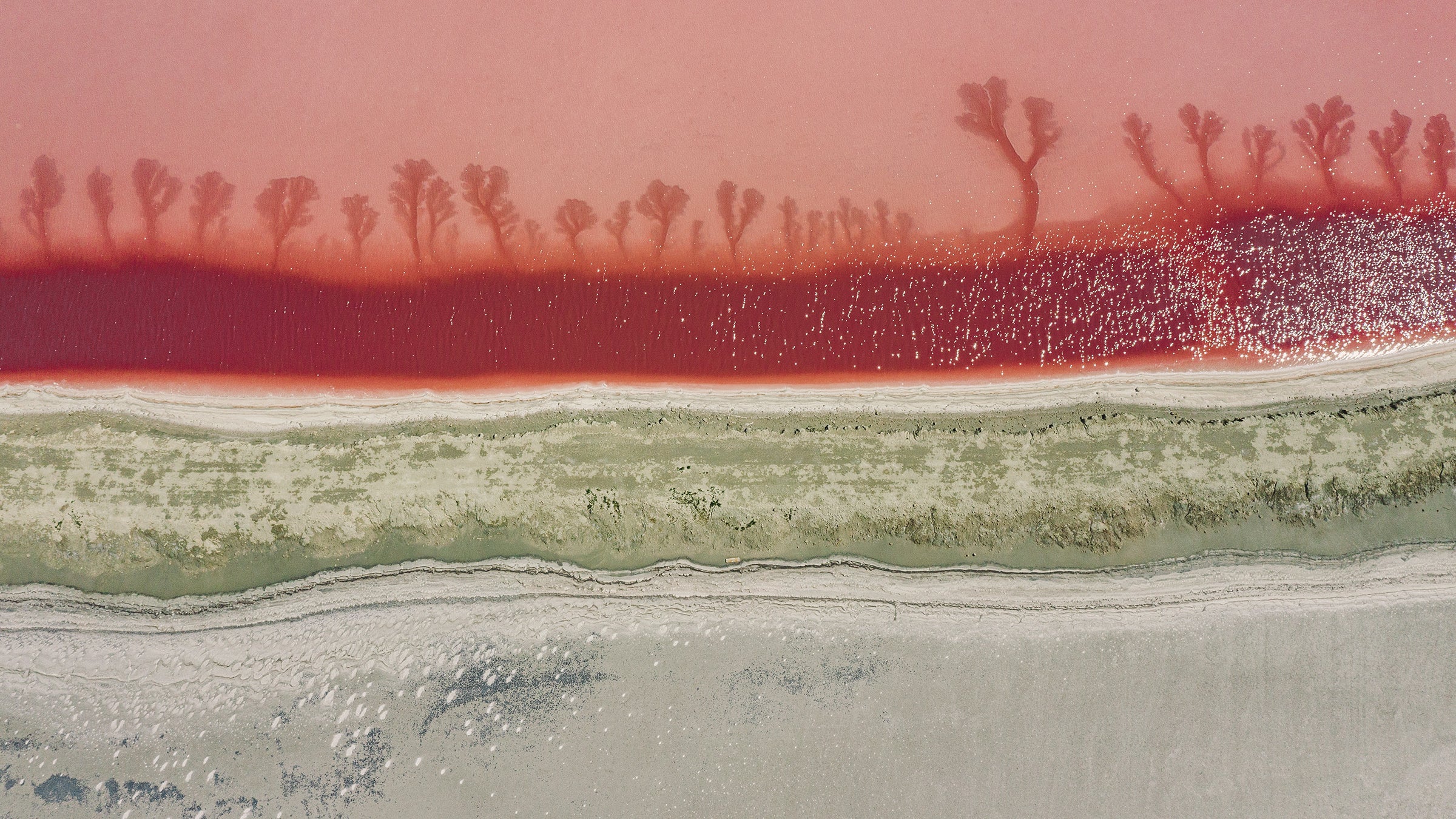 The Great Salt Lake Is Desolate It S Also Divine Outside Online