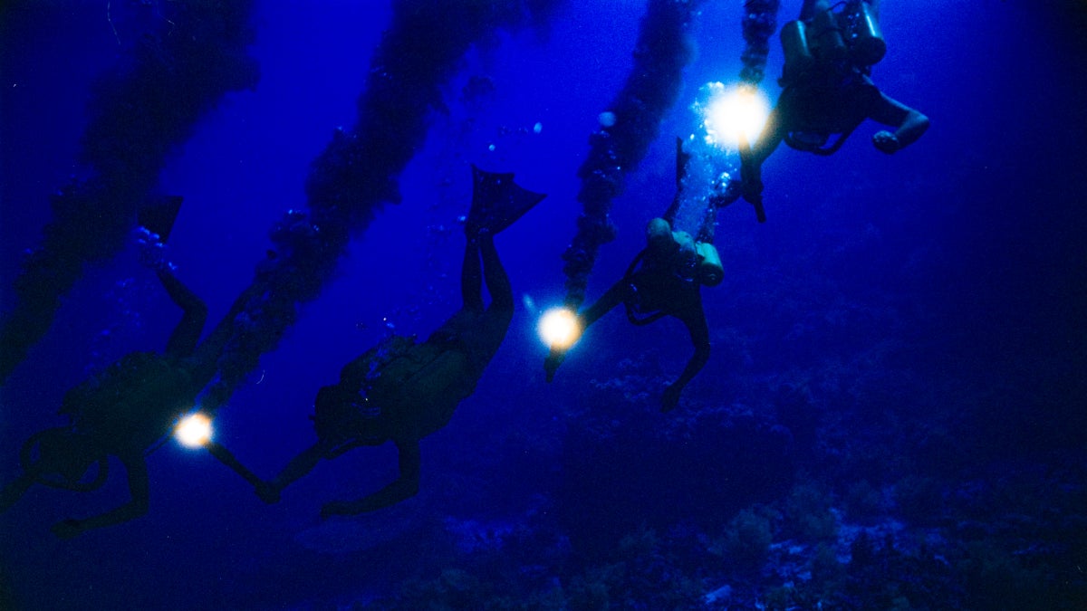 3 New Documentaries to Watch in November Outside Online