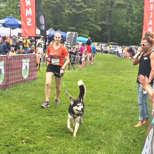 Canicross finish