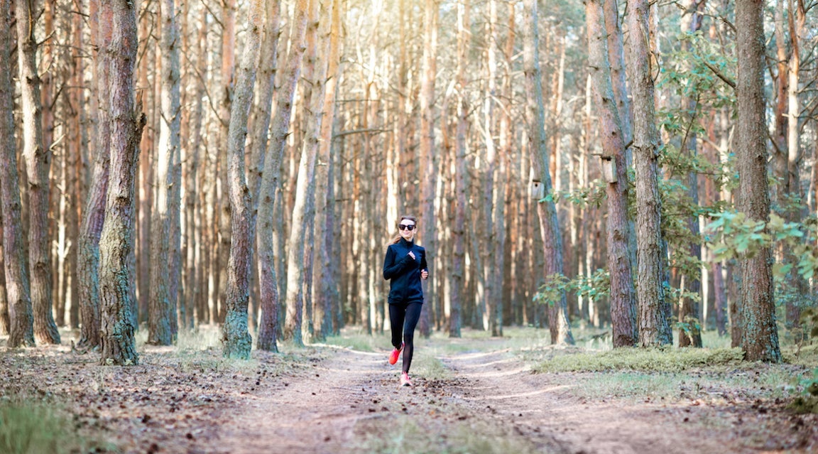 Woman in black sportswear running in the pine forest at the morning, wide landscape view/