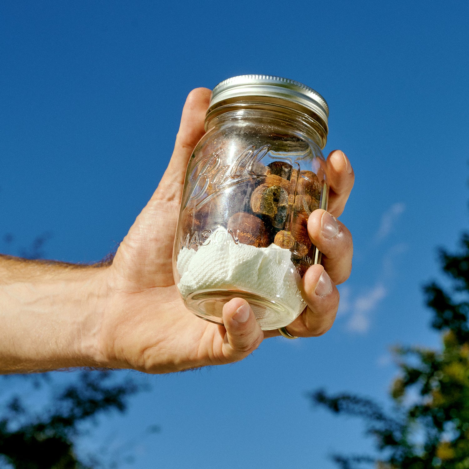 Kable’s foraged truffles