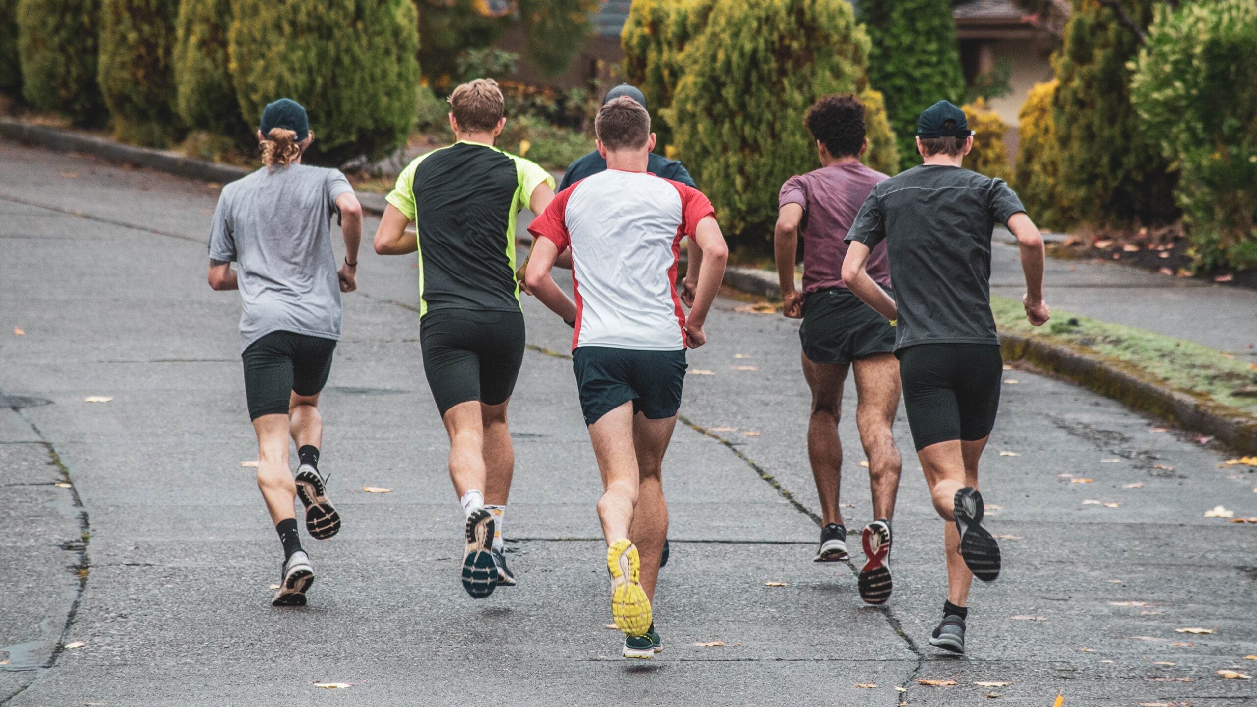 brooks beasts hill workout men