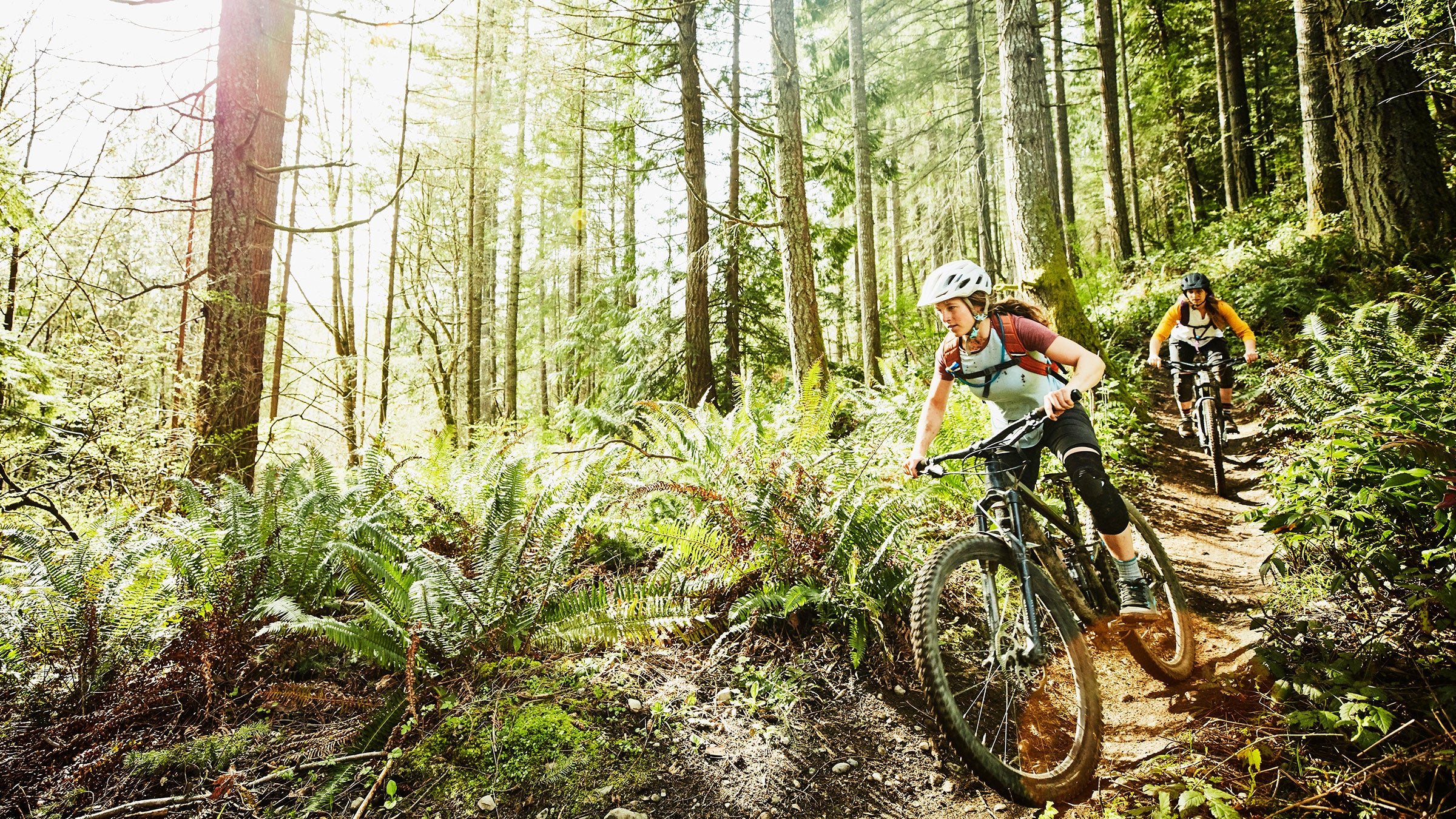 friends riding mountain bikes down trail