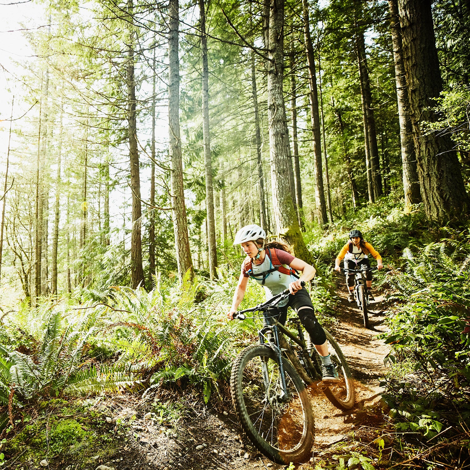 friends riding mountain bikes down trail