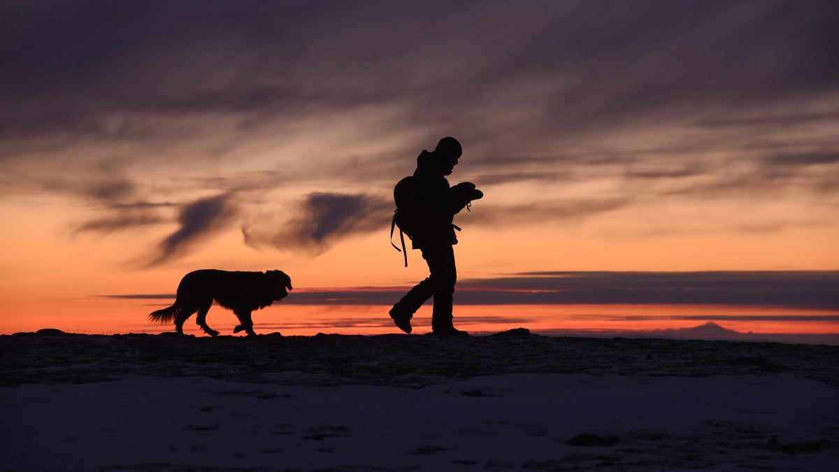 My Dog Is Getting Older. How Do I Prepare for the Loss of My Best Friend?