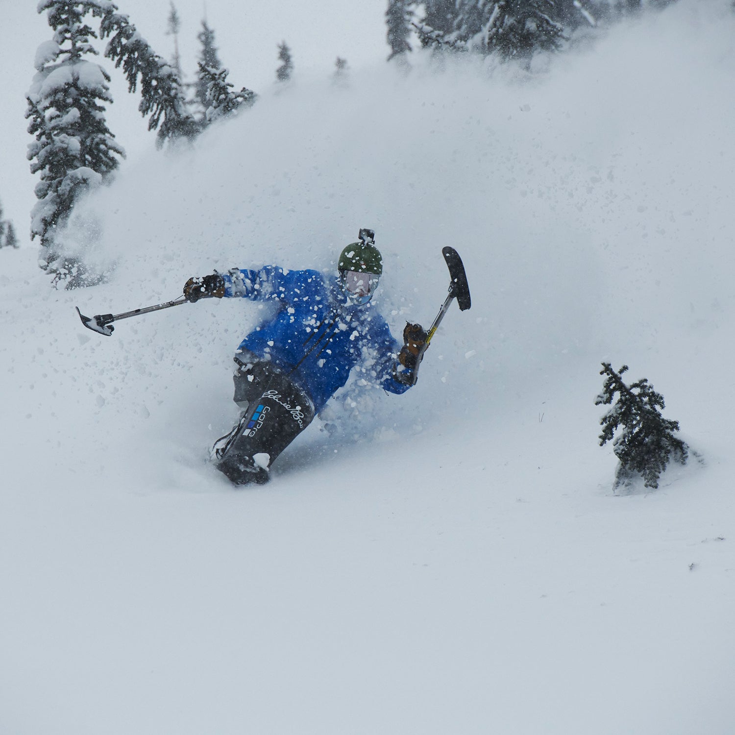 A sit-skier carves a line