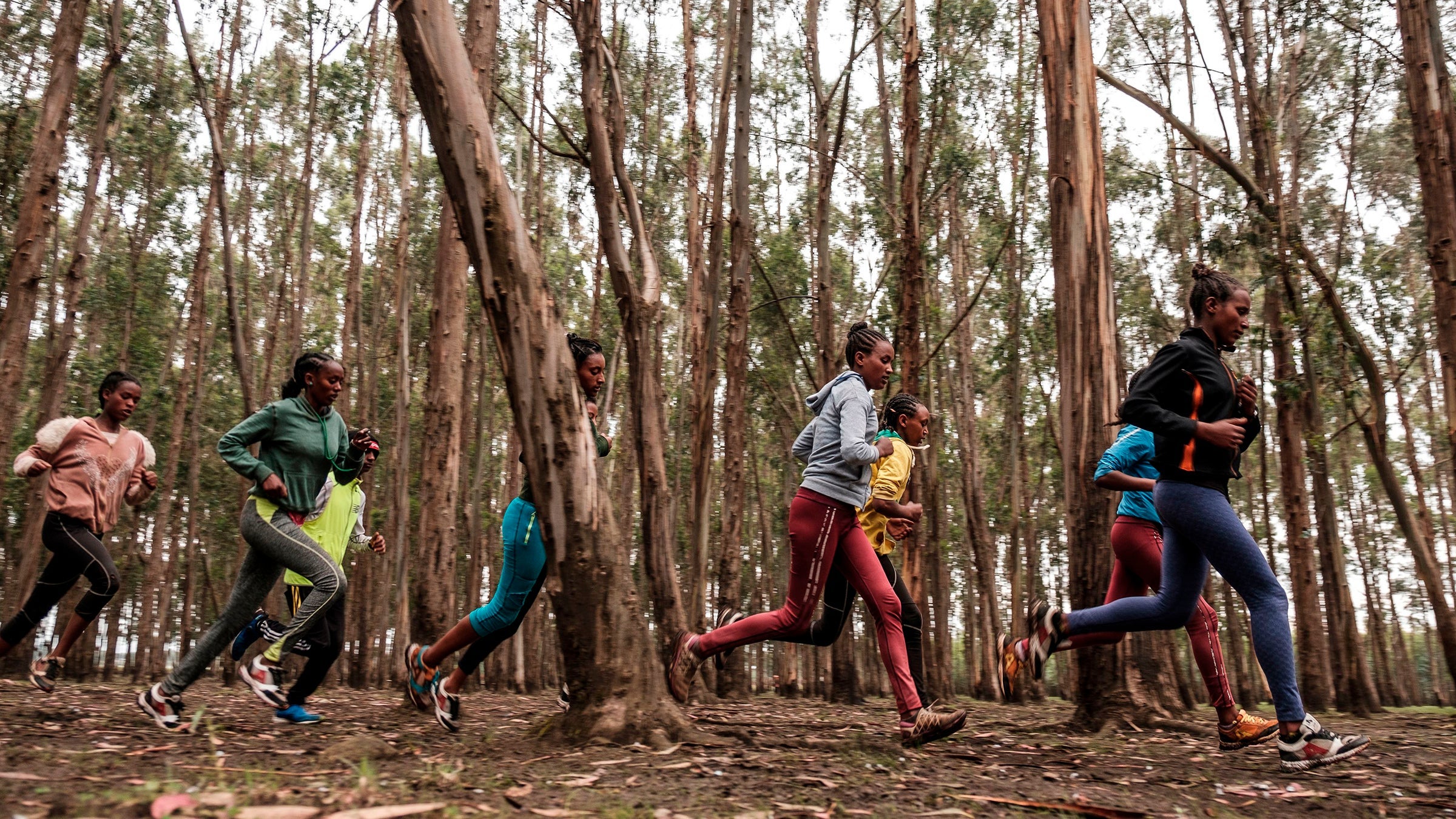 group of Ethiopian runners training in a forest